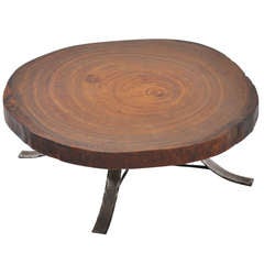 Vintage Tree Trunk Huge Coffee Table With Wrought Iron Base 1960