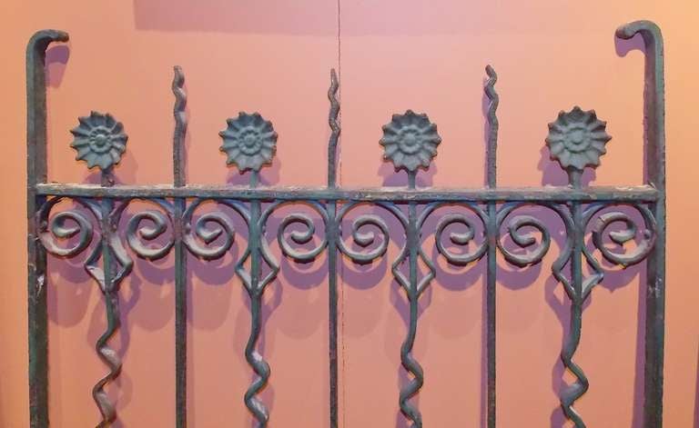 19th c. Pair of Cast Iron Gates with Sunflowers and Scroll Work 1