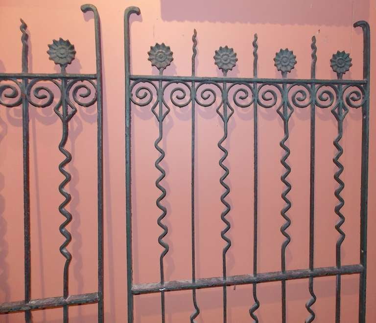 19th c. Pair of Cast Iron Gates with Sunflowers and Scroll Work 3