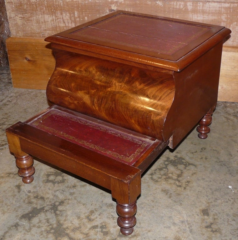 Mahogany Library Steps