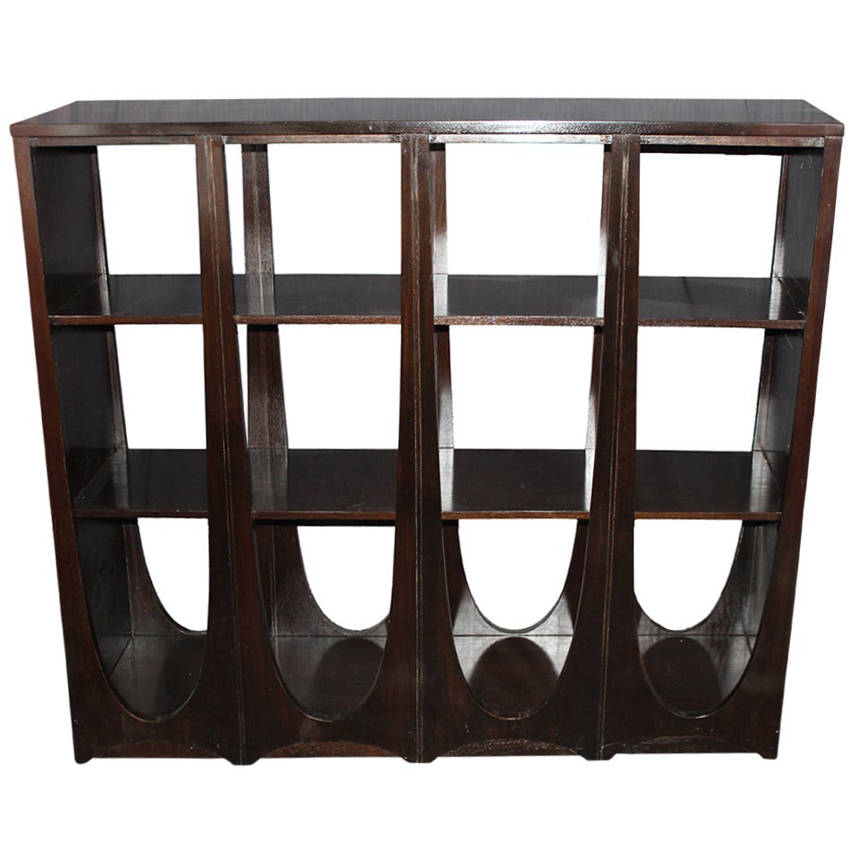 Modernist Ebonized Double-Sided Bookcase