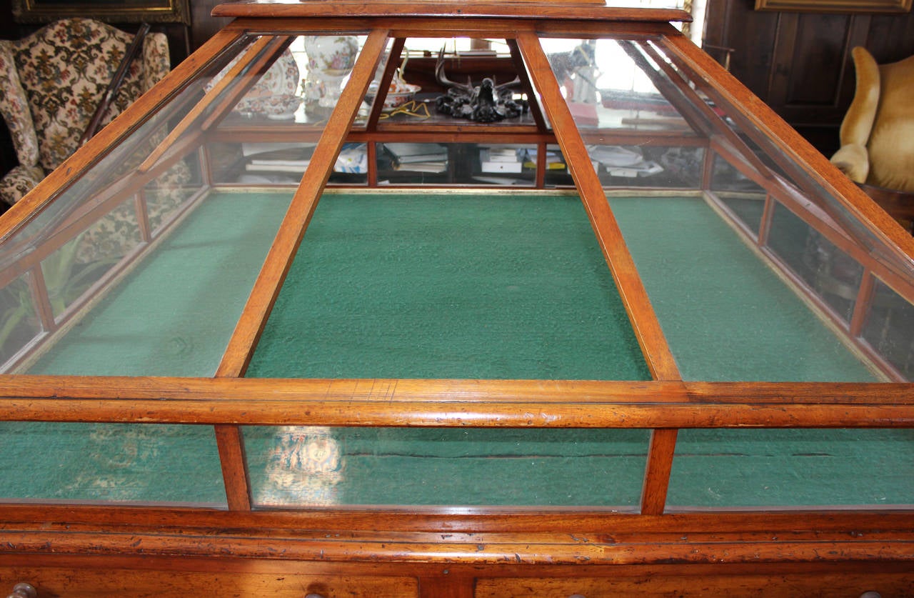 Rare 19th Century English Mahogany and Glass Orchid Display Case In Excellent Condition In Milford, NH