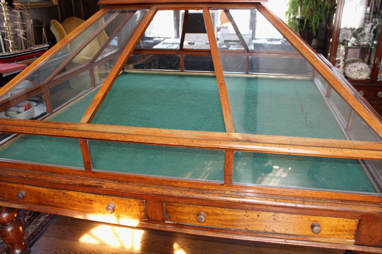 Rare 19th Century English Mahogany and Glass Orchid Display Case 1