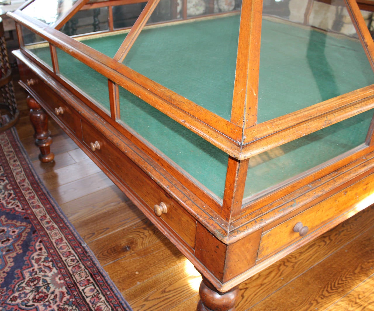 Rare 19th Century English Mahogany and Glass Orchid Display Case 2