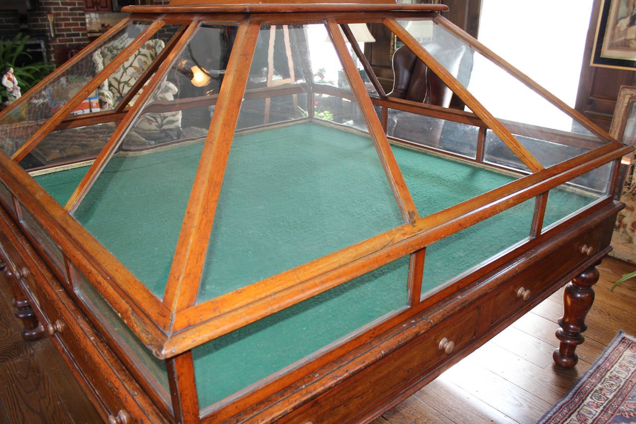 Rare 19th Century English Mahogany and Glass Orchid Display Case 3