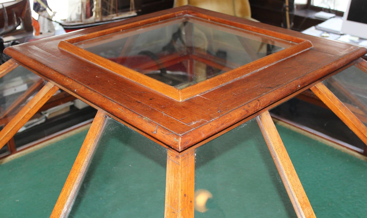 Rare 19th Century English Mahogany and Glass Orchid Display Case 4