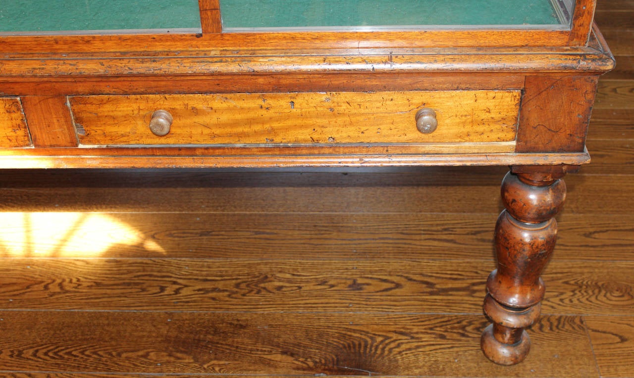 Rare 19th Century English Mahogany and Glass Orchid Display Case 5