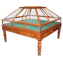 Rare 19th Century English Mahogany and Glass Orchid Display Case