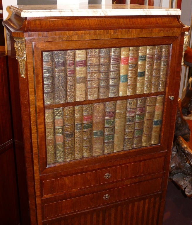French Faux Book Cabinet with Tambour Slide
