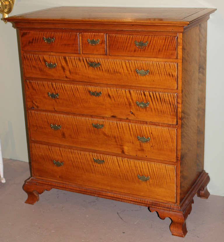This 18th century Chippendale tiger maple chest was originally the upper section of a highboy. It features three short drawers over four long drawers, appears to retain its original brass hardware, all raised on a custom, nicely modeled ogee bracket