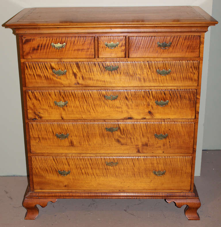 18th c Chippendale Tiger Maple Chest In Excellent Condition In Milford, NH