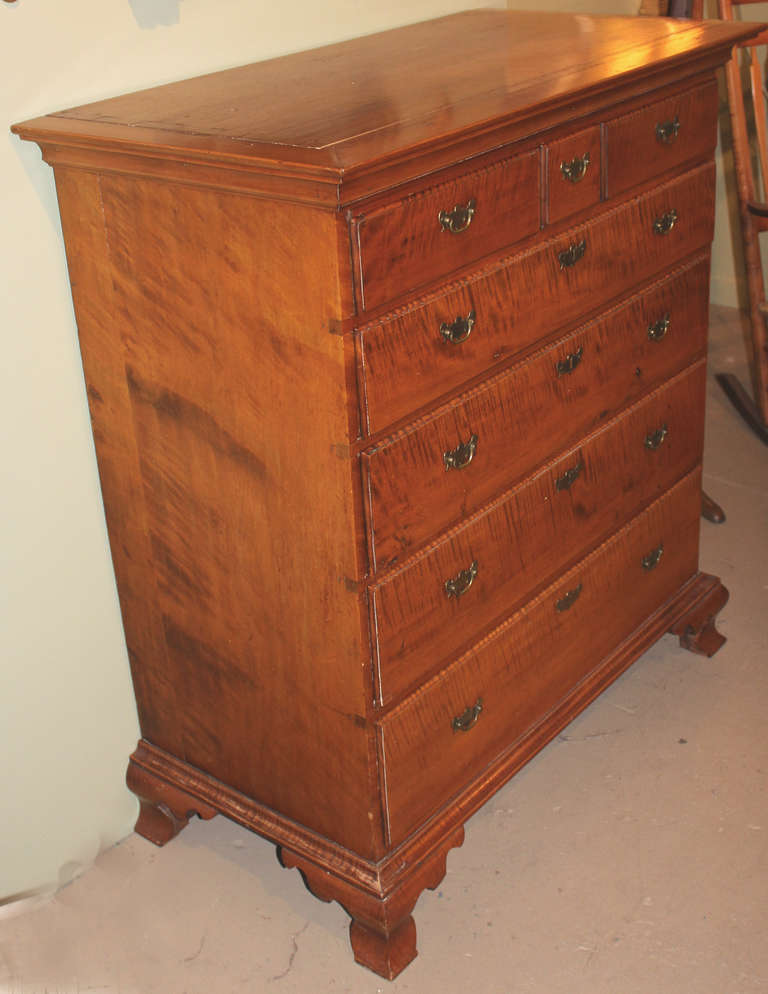 18th c Chippendale Tiger Maple Chest 1