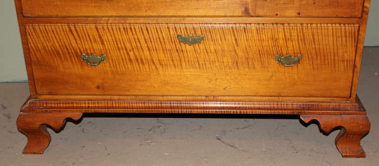 18th c Chippendale Tiger Maple Chest 4
