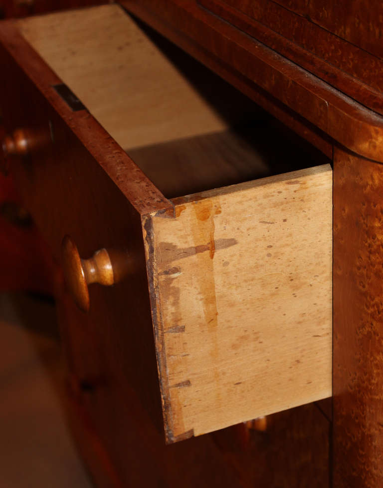 19th c Birdseye Maple Chest of Drawers with Glove Boxes 5