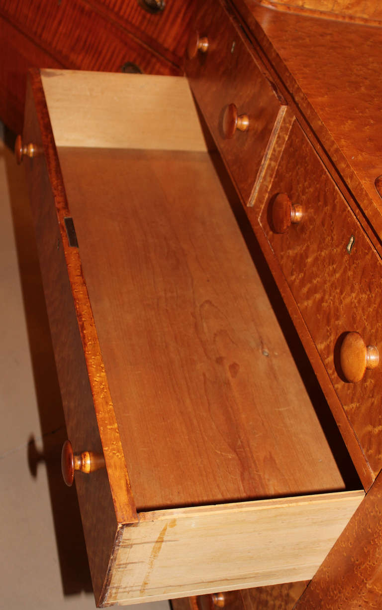 19th c Birdseye Maple Chest of Drawers with Glove Boxes 2