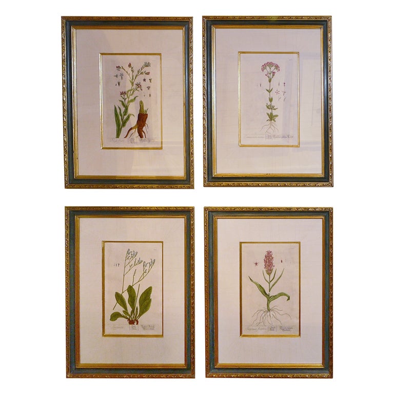 Botanical Print Sets - 21 For Sale on 1stDibs