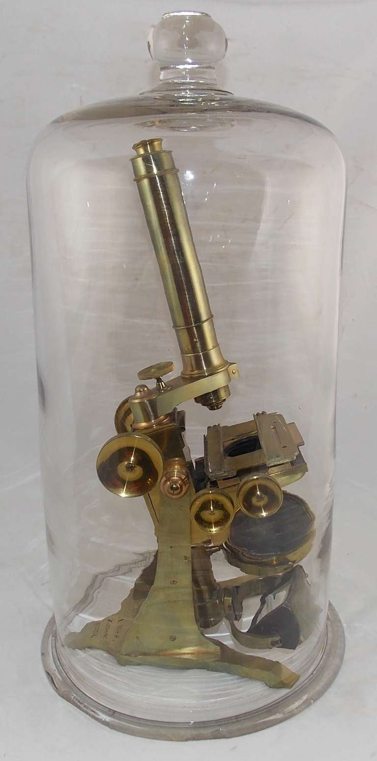 19th c. Andrew Ross Brass Microscope No. 334, London In Excellent Condition In Milford, NH