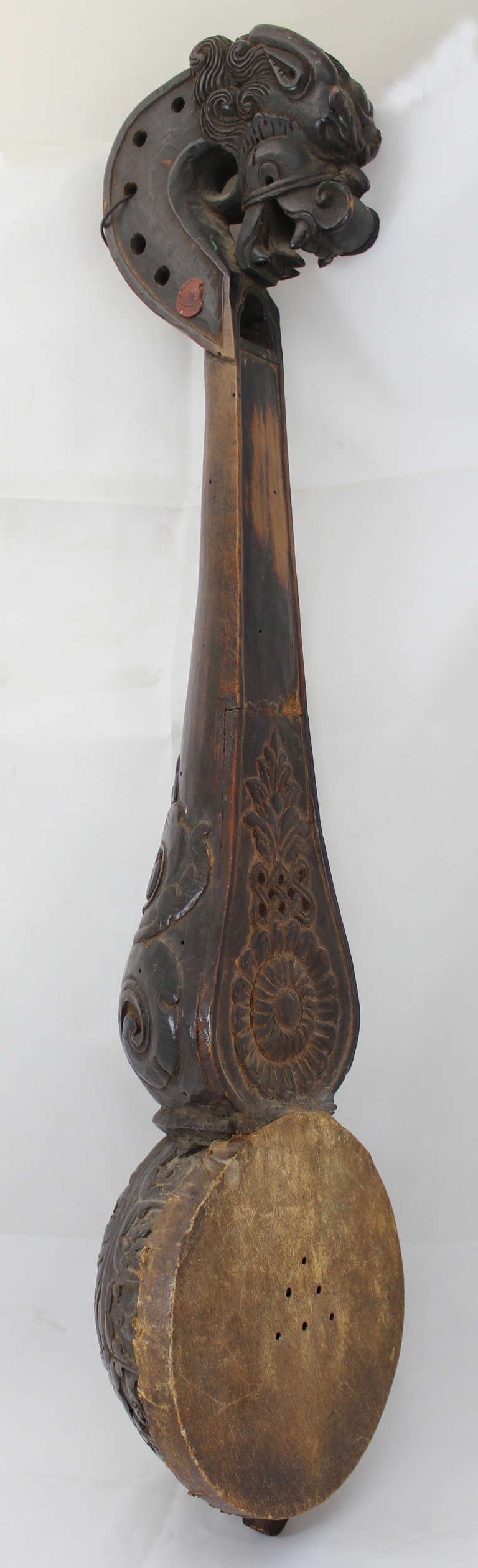dragon lute