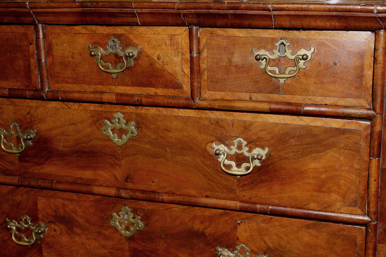 18th Century English High Chest in Burled and Banded Walnut Veneer 2
