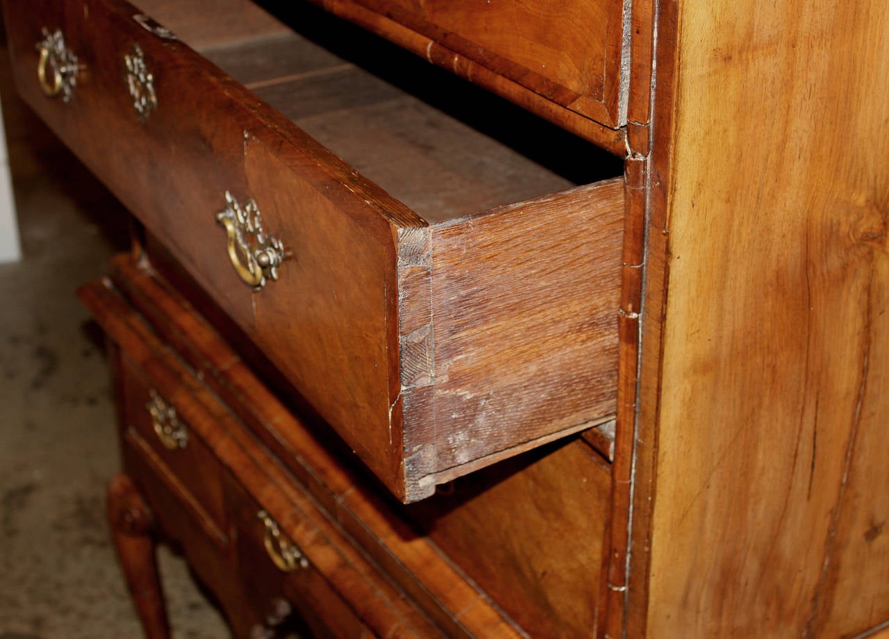 18th Century English High Chest in Burled and Banded Walnut Veneer 3