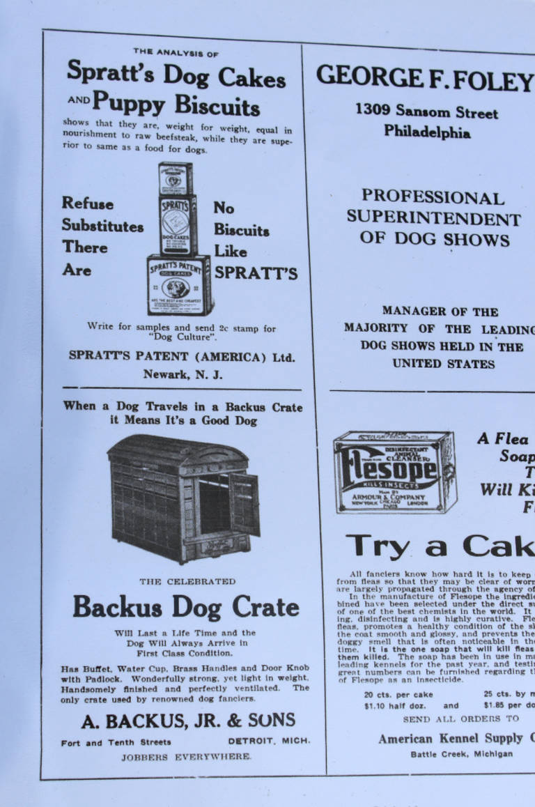 A. Backus Jr. & Son Dog Carrier or Crate from John Jacob Astor IV Estate 3