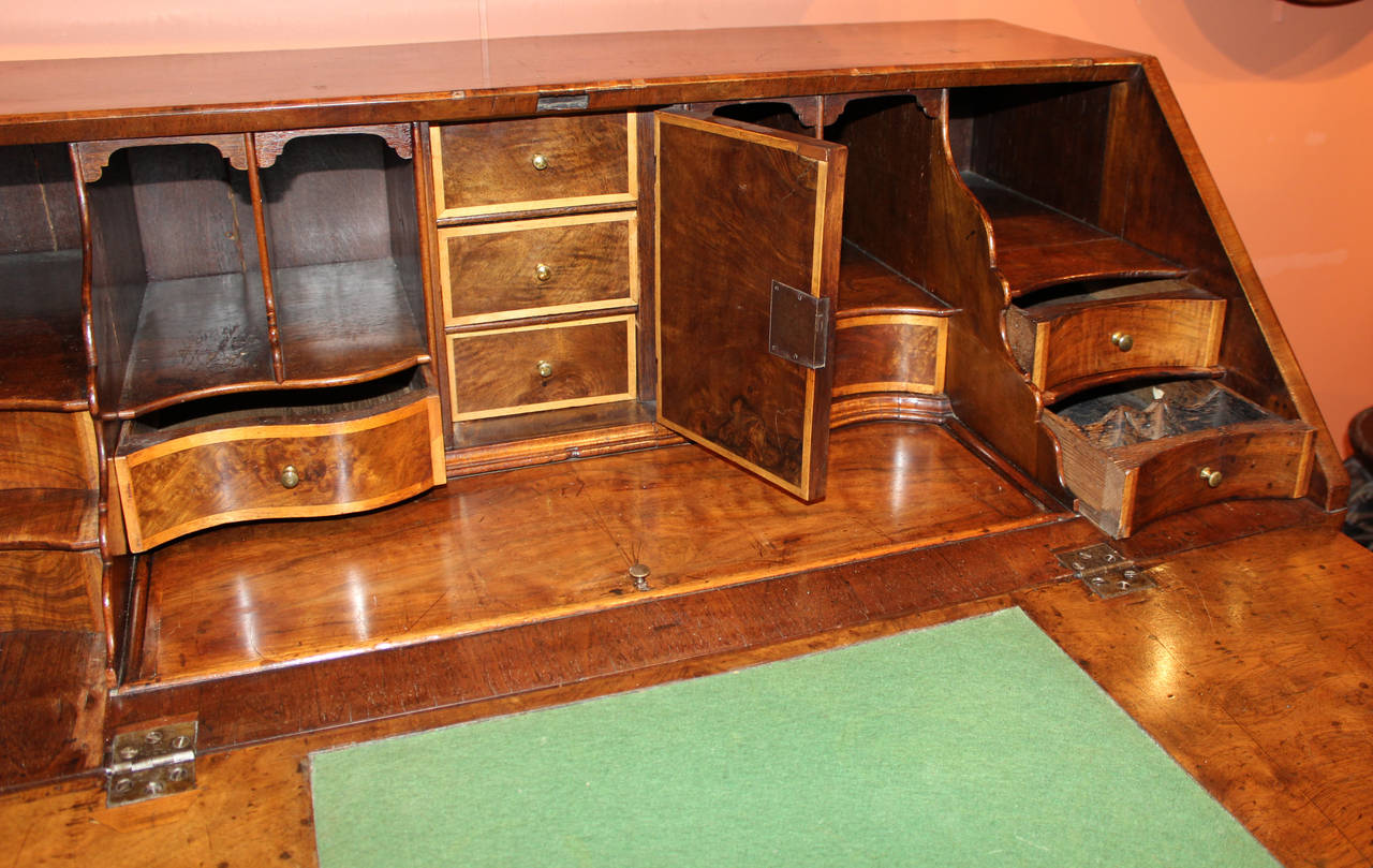 18th Century Blocked Serpentine Front Queen Anne Burled Walnut Slant Front Desk 1