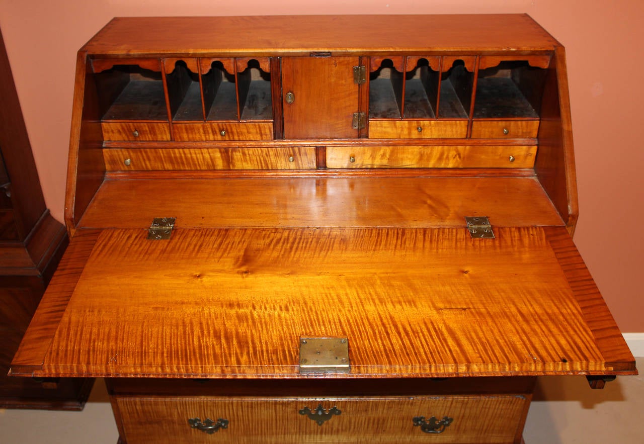 New England Tiger Maple Slant Front Desk circa 1775 In Excellent Condition In Milford, NH