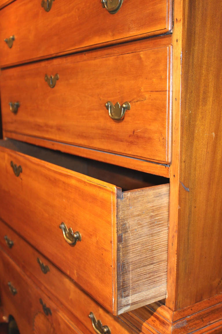 18th c Connecticut Queen Anne Highboy Emily Post Estate In Excellent Condition In Milford, NH
