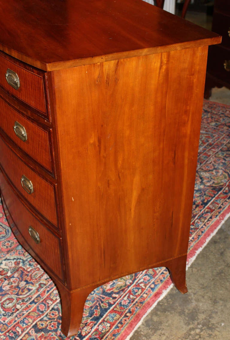 antique tiger maple chest of drawers