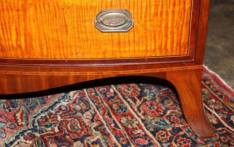 tiger maple chest of drawers