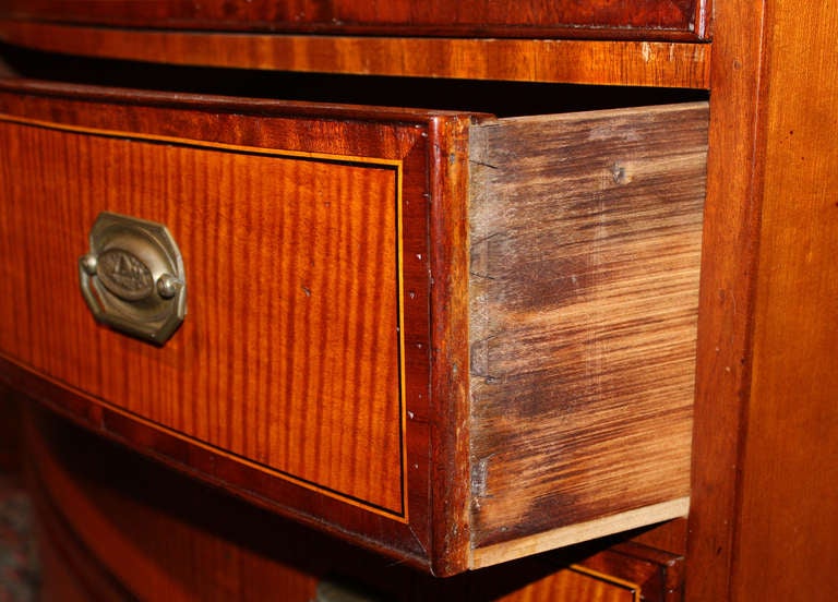 American Rare Federal Hepplewhite Cherry & Tiger Maple Chest