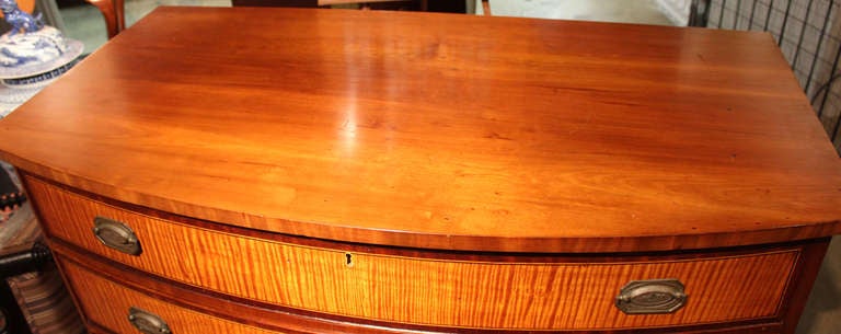 19th Century Rare Federal Hepplewhite Cherry & Tiger Maple Chest