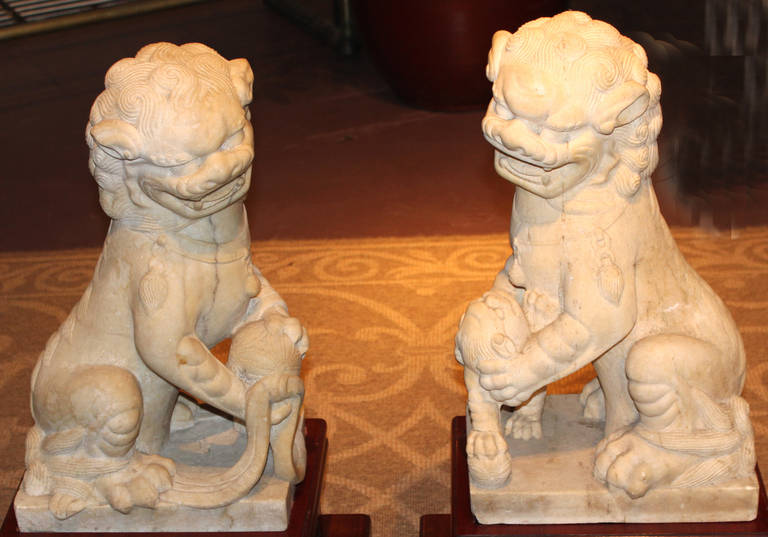 A pair of nicely detailed late 19th-early 20th century Chinese carved stone foo dogs, one dog playing with a smaller foo dog at its feet, and the other dog playing with a ball. Presented on a pair of custom hardwood stands.