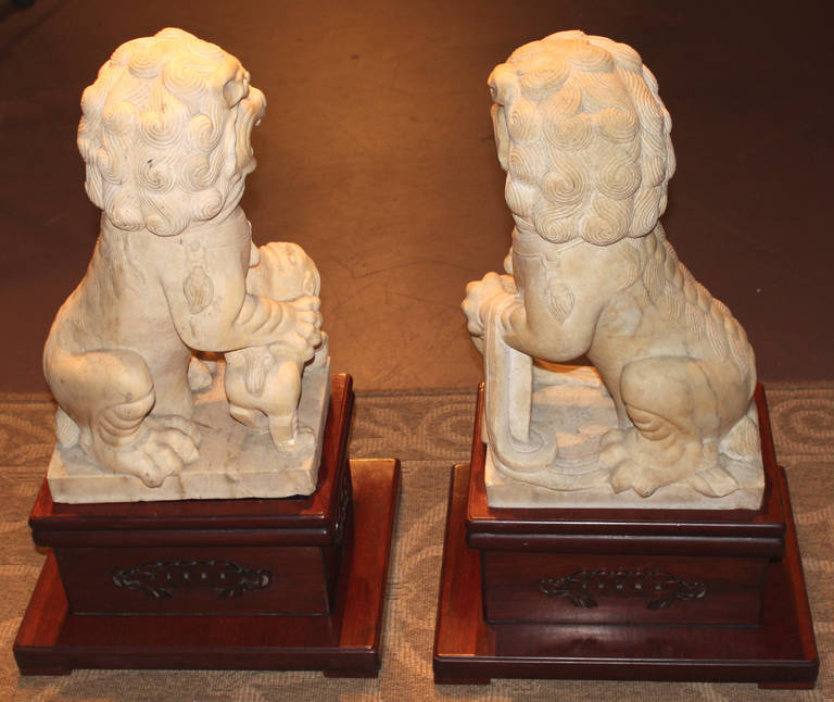 19th Century Pair of 19th-20th Century Chinese Carved Stone Foo Dogs