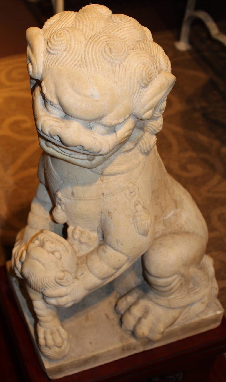 Pair of 19th-20th Century Chinese Carved Stone Foo Dogs 1