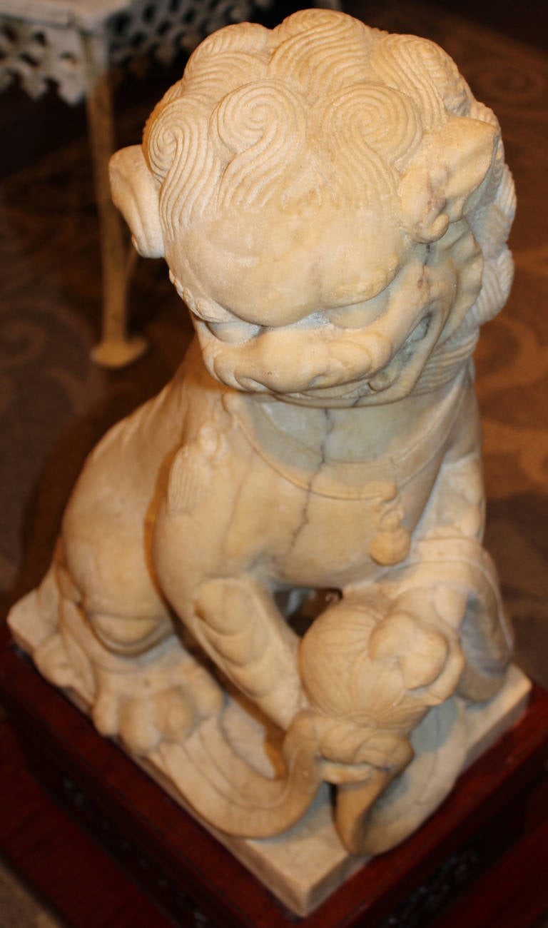 Pair of 19th-20th Century Chinese Carved Stone Foo Dogs 2