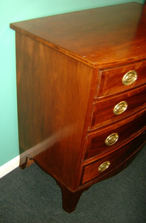 Federal Period Mahogany Hepplewhite Swell-Front Chest 2