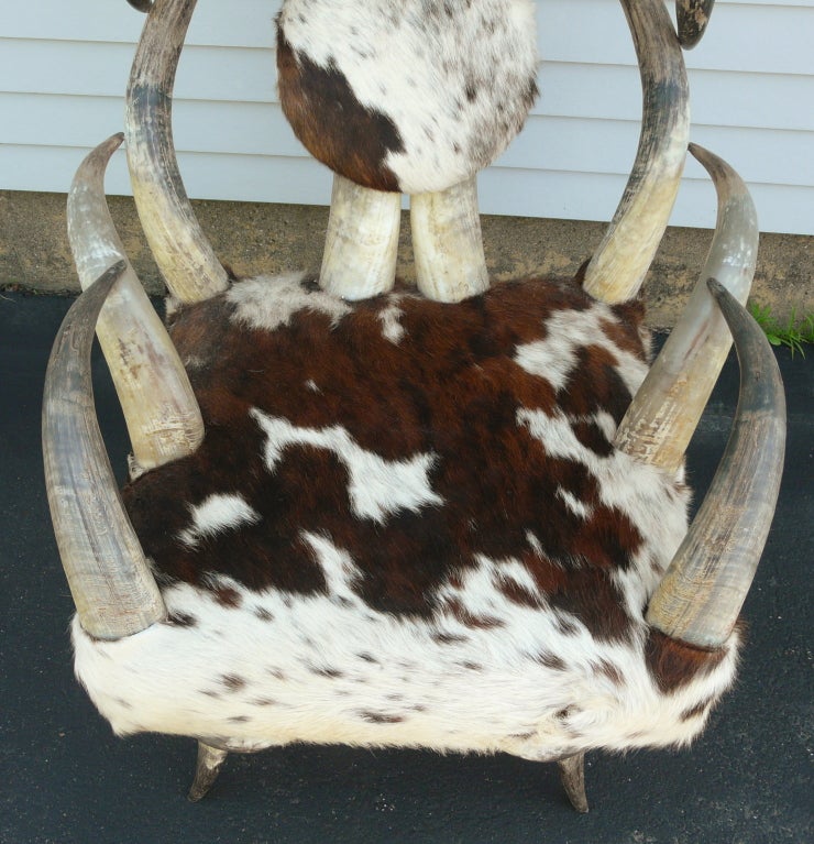 Cow Horn Chair 1