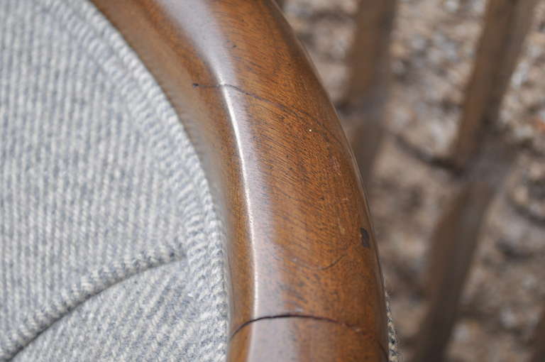 Pair of Mahogany Rams Head & Hoof Foot Settees - French Regency Style 2