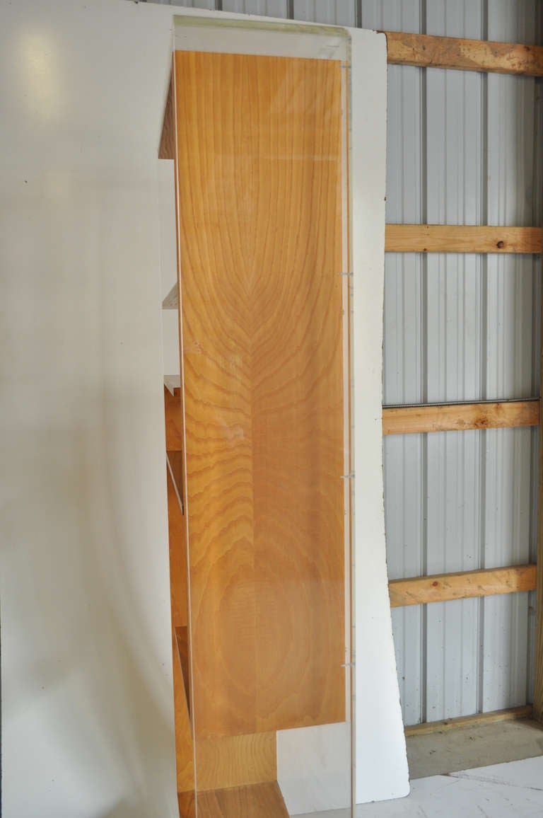 Custom Mid-Century Modern Lucite Etagere or Bookcase after Charles Hollis Jones 2