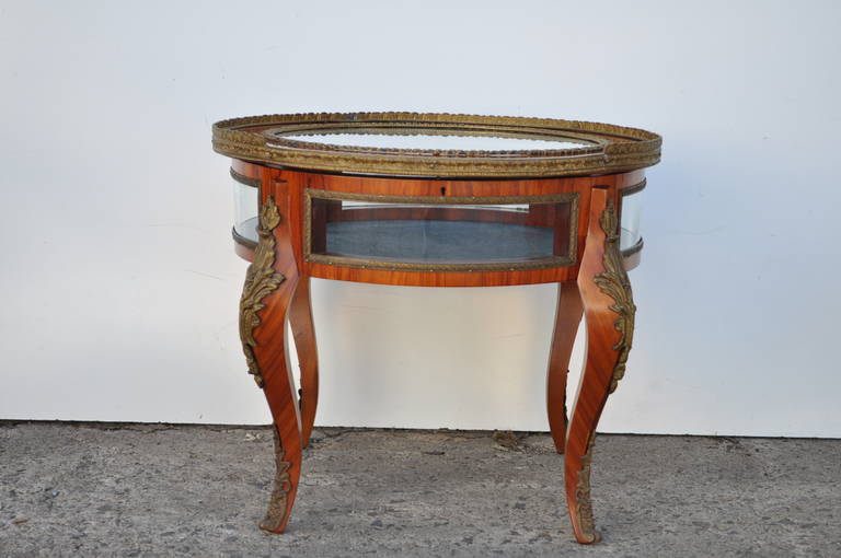 20th Century French Louis XV Style Bronze Ormolu Display Case Coffee Table 2