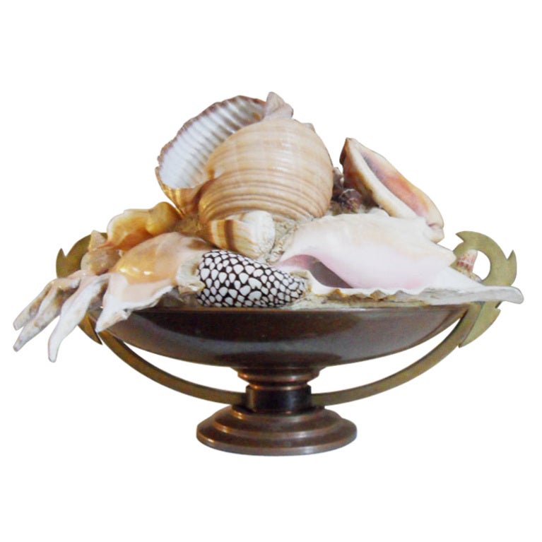 Italian 1950 Bronze and brass center piece with large shells