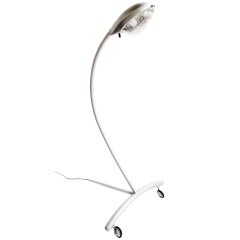 Marc Newson Super Guppy Floor Lamp