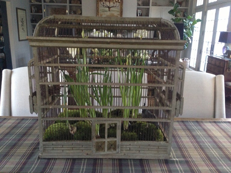 19th C. French Sparrow Cage 5