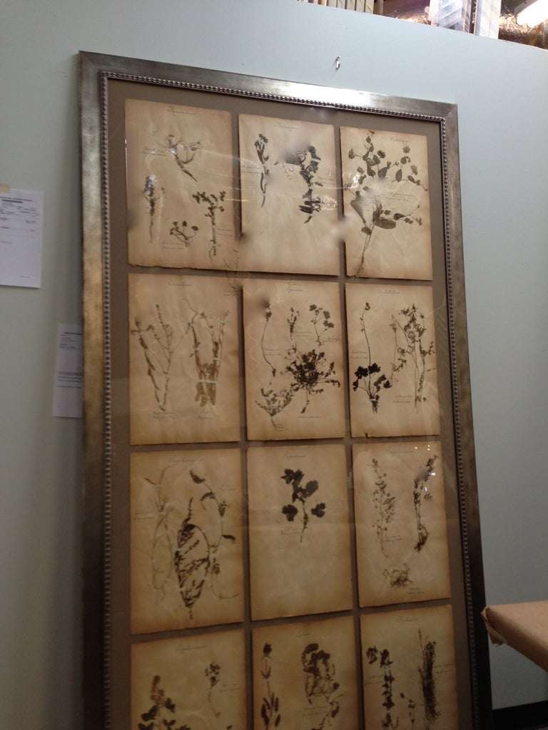 Framed French Botanicals or Herbieres from 1892 In Good Condition In Nashville, TN