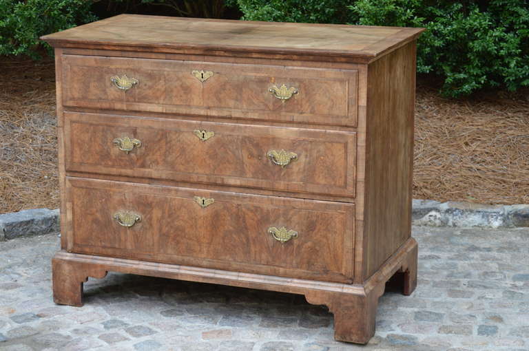 19th Century English Chest of Drawers