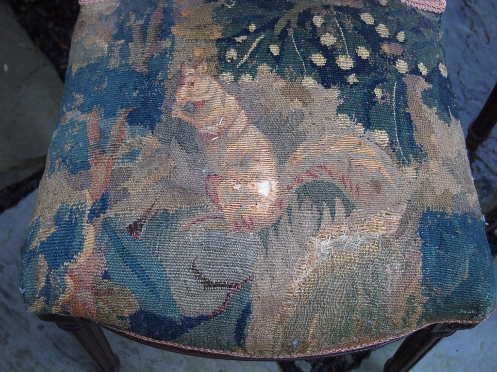 Walnut Pair of 19thc French tapestry carved chairs
