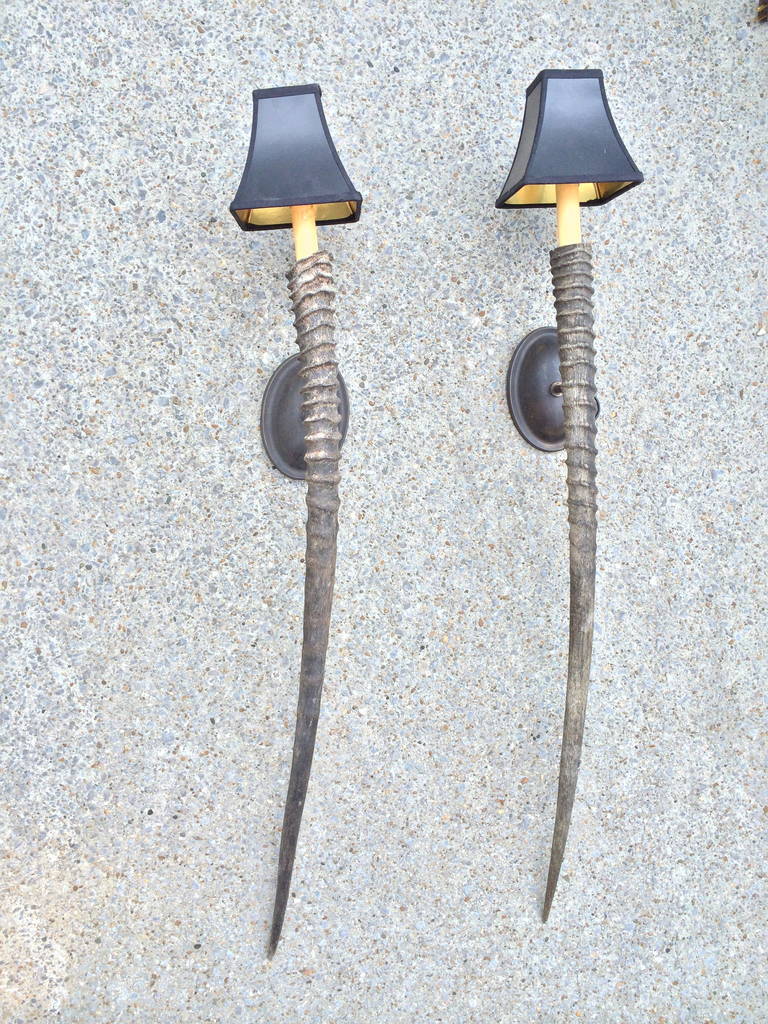 Pair of Antelope Horn Sconces