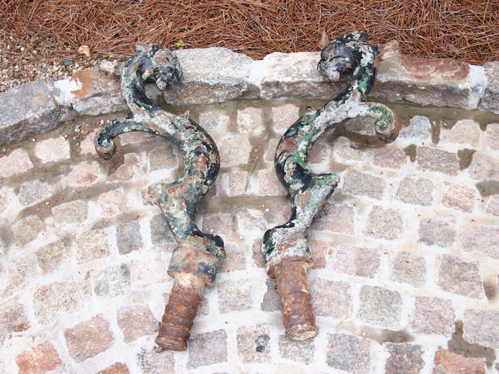 Unusual pair of French Lion street door stops used in Parisian streets to keep the courtyard doors from swinging into the street but could be removed to let the doors open wide to let cars into the courtyard.