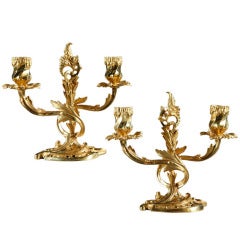 Pair of Louis XV Style Two Lights Gilt Bronze Candlesticks